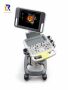 Rongxin Ultrasound (Guangzhou) Co.,LTD.  webstore photographs